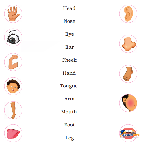 Two Little Hands - Image 3