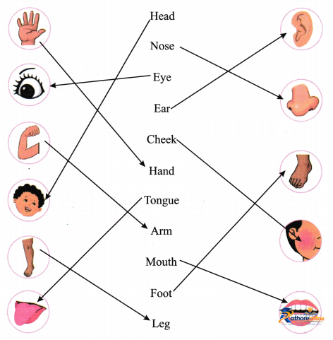 Two Little Hands - Image 4