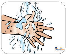 Two Little Hands - Image 10