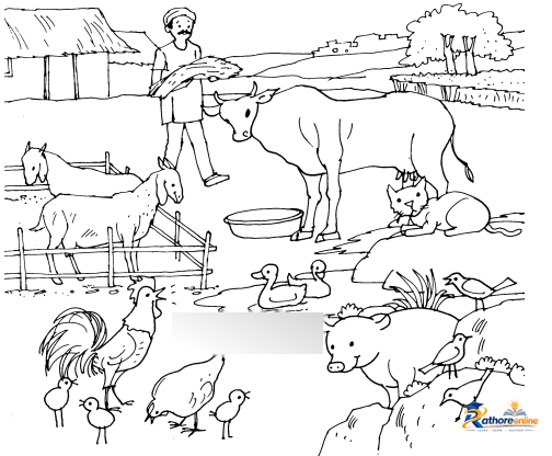 Farm - Image 2