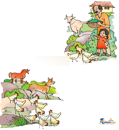 Farm - Image 10