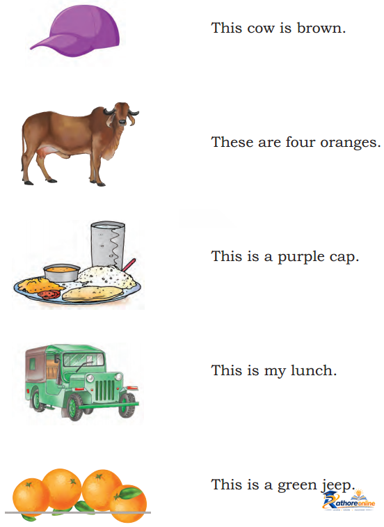 The Food Eat - Image 10