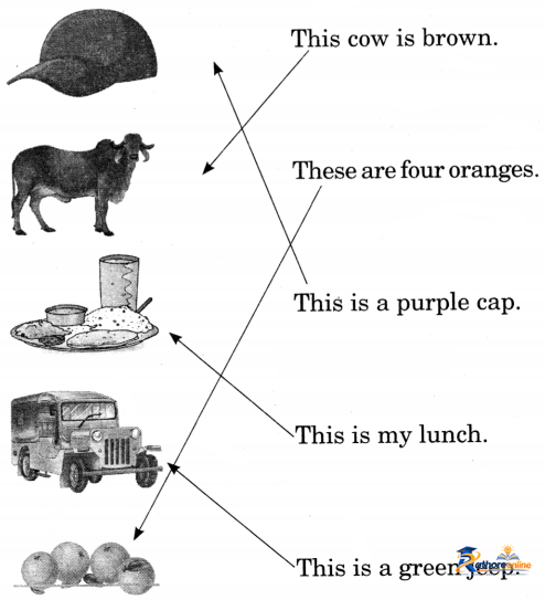 The Food Eat - Image 11