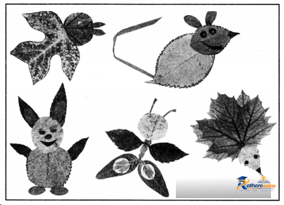 Chaand Baccha - Image 7
