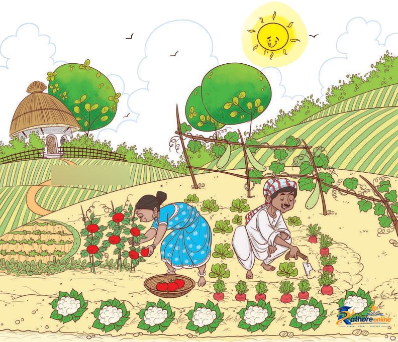 Vegetable Farm - Image 1
