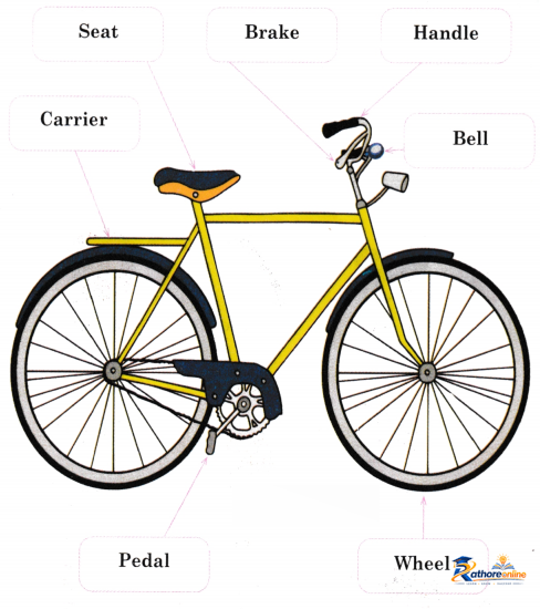 Bicycle - Image 5