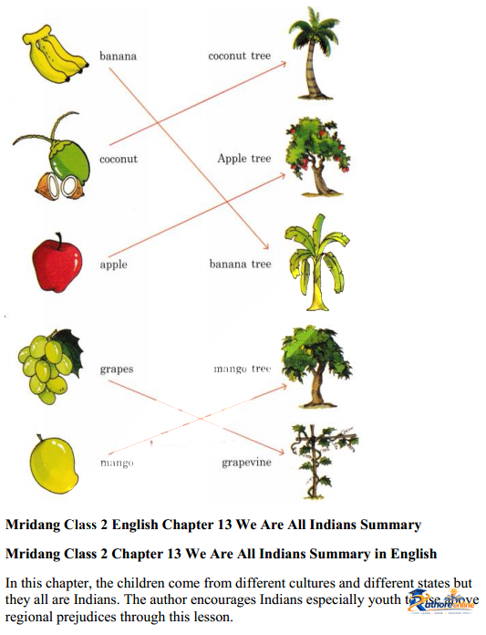 Are All Indians - Image 24