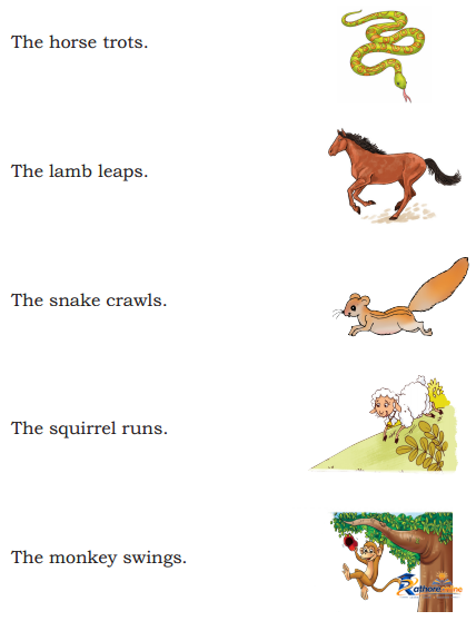 Fun - Image 4