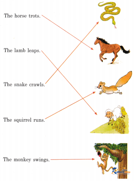 Fun - Image 5