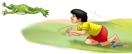 Fun - Image 9