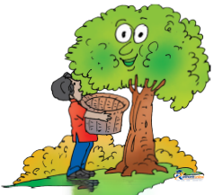 Madhu’s Wish - Image 17