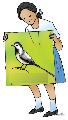 Living Harmony - Image 15