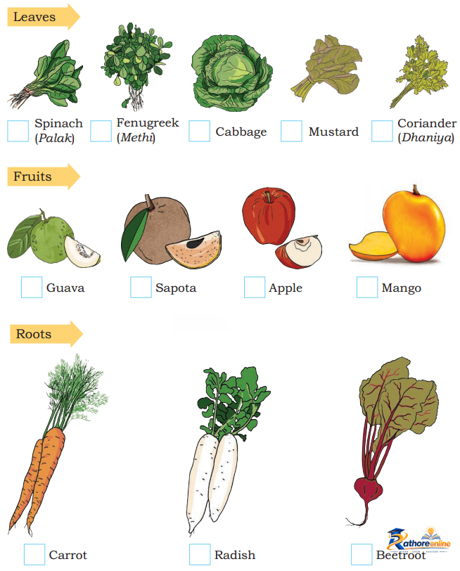 Food Eat - Image 12