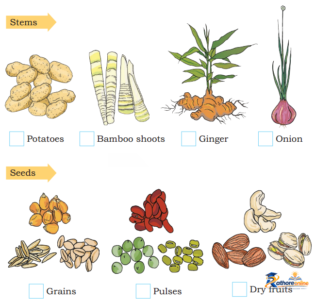 Food Eat - Image 13