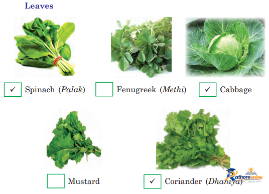 Food Eat - Image 14