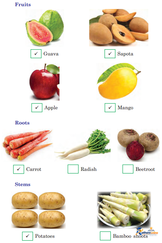 Food Eat - Image 15