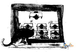 What’s Name_ - Image 26