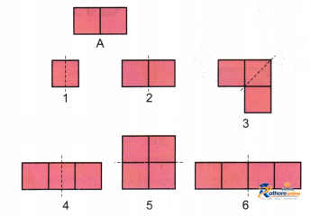 Fun With Symmetry - Image 19