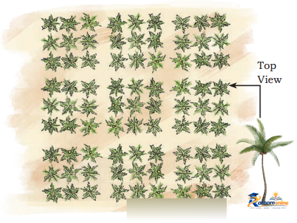 Pattern Around - Image 1