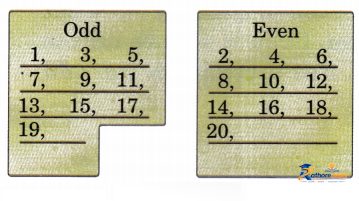 Pattern Around - Image 12