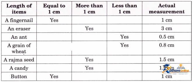 Measuring Length - Image 13