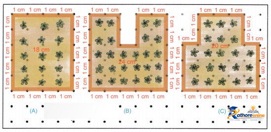 Measuring Length - Image 38