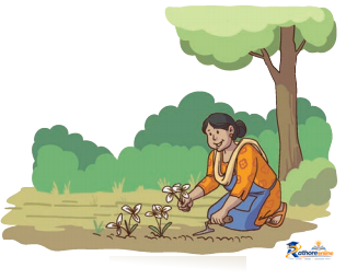 Equal Groups - Image 13
