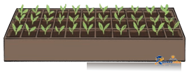 Equal Groups - Image 16