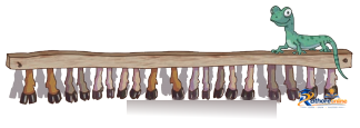 Equal Groups - Image 46