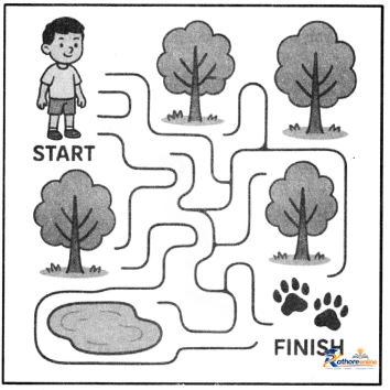 Nature Trail - Image 6