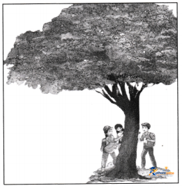 Growing With Nature - Image 4