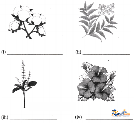 Growing With Nature - Image 8