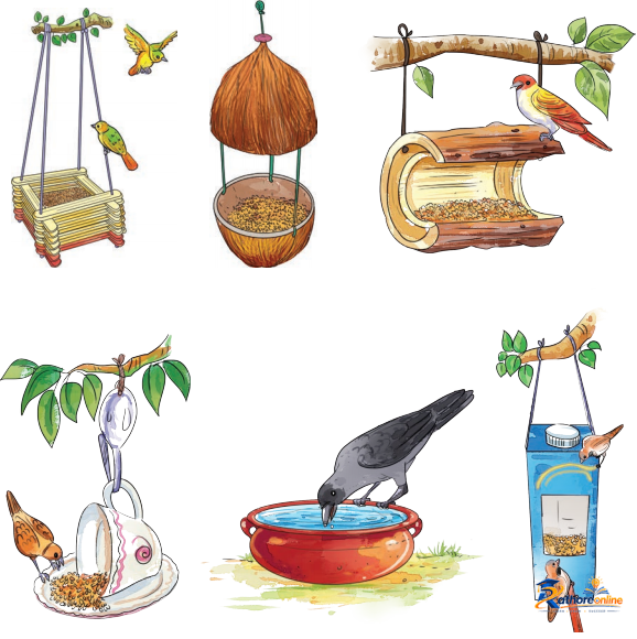 The Wise Parrot - Image 7