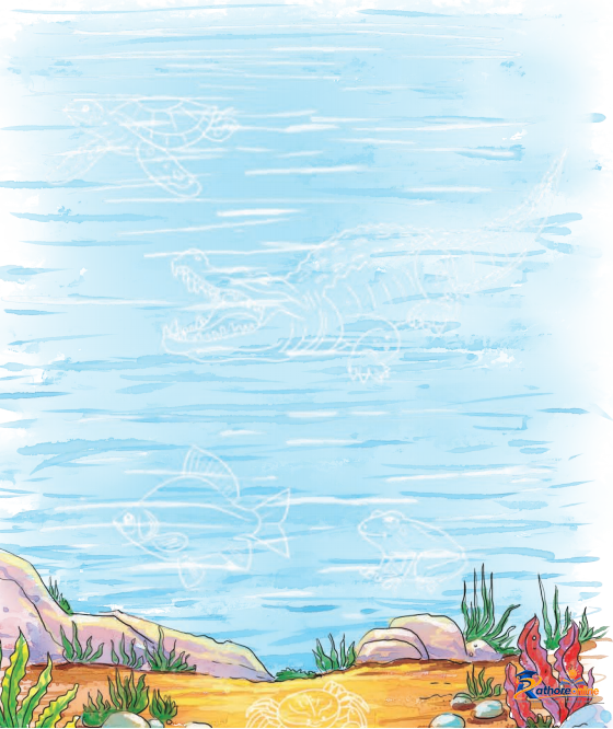The Frog - Image 4