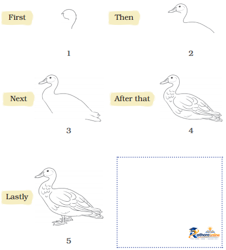 The Frog - Image 6