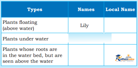 Water The Essence Life - Image 22