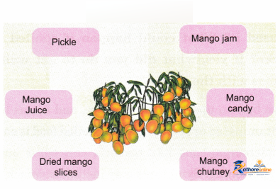 The Mystery Food - Image 4