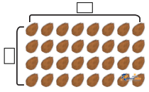 Coconut Farm - Image 1