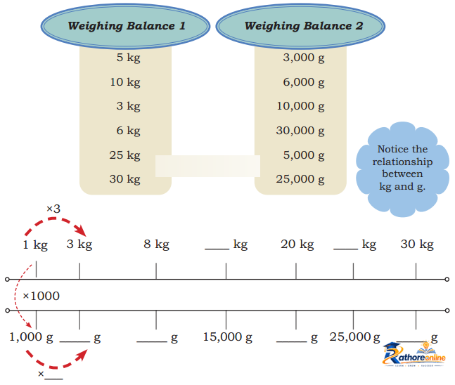 Weight And Capacity - Image 4