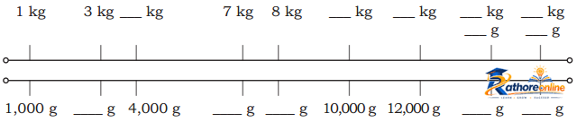 Weight And Capacity - Image 8
