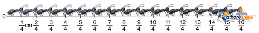 Fractions - Image 60