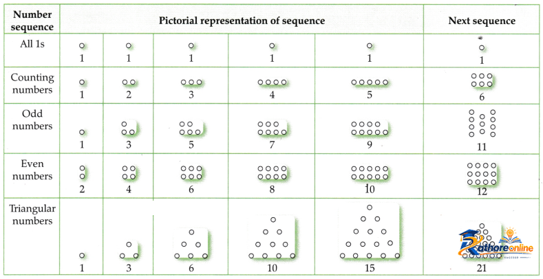 Patterns Mathematics - Image 5