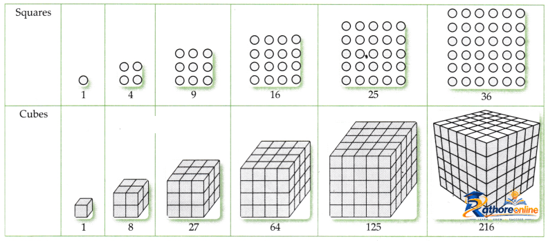 Patterns Mathematics - Image 6