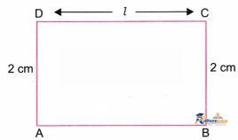 Perimeter And Area - Image 1
