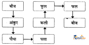 Ped Baat (nibandh) - Image 4