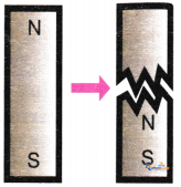 Exploring Magnets - Image 2