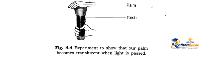 Exploring Magnets - Image 20