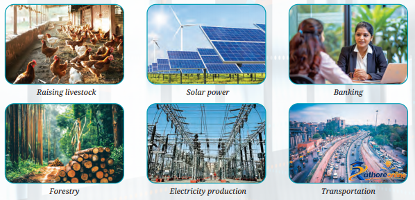 Economic Activities Around - Image 5
