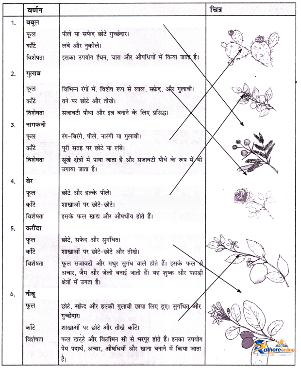 Phool Aur Kaanta - Image 23