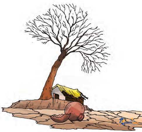 Pani Pani - Image 3